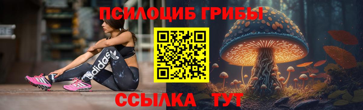 Псилоцибиновые грибы прущие грибы  Галлюциногенные грибы MAGIC MUSHROOMS  Карпинск  Вход с VPN 
